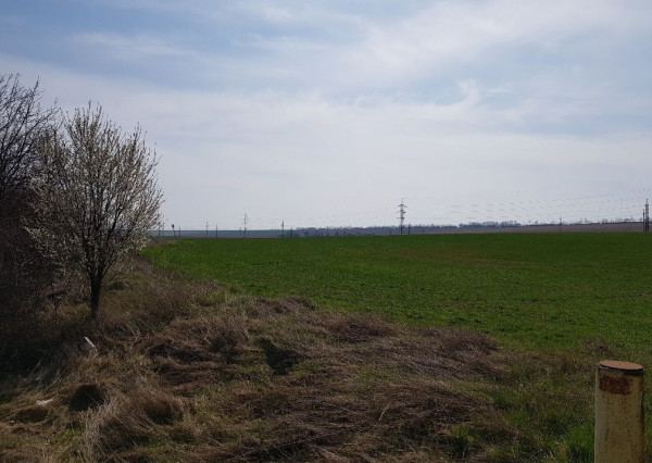 Predaj investičný pozemok Nitra, 5544 m2