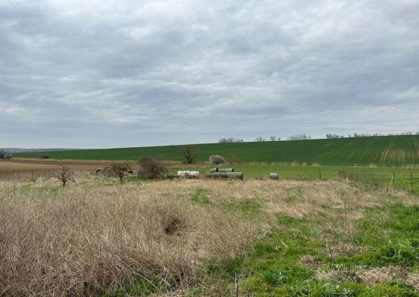 Predaj 33á pozemok, Šurianky - Perkovce