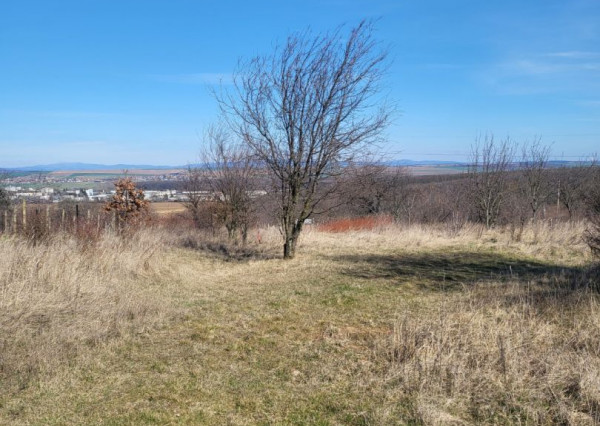 Predaj rekreačný pozemok, Dolné Krškany - Bita