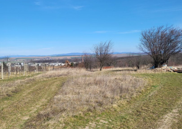 Predaj rekreačný pozemok, Dolné Krškany - Bita