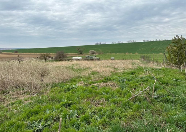 Predaj 33á pozemok, Šurianky - Perkovce