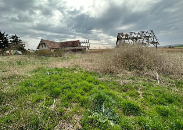 Predaj 33á pozemok, Šurianky - Perkovce