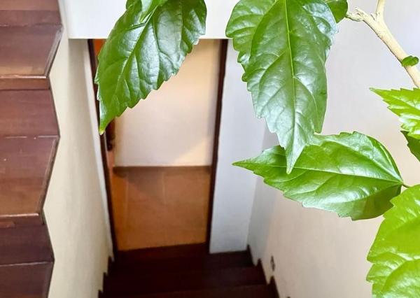 Predaj 4izb.RD Zobor, pozemok 10á, dvojgaráž, EXKLUZÍVNE!