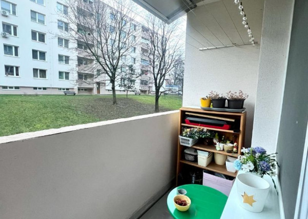 Prenájom 1 izbový byt Nitra - Čermáň, šatníky, loggia