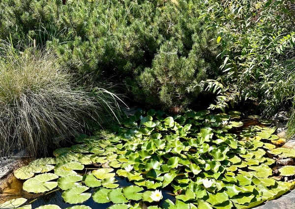 Predaj 4izb.RD Zobor, pozemok 10á, dvojgaráž, EXKLUZÍVNE!