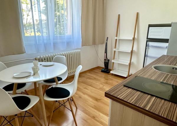 Prenájom 2 izb.byt centrum, Vodná ul., pri parku