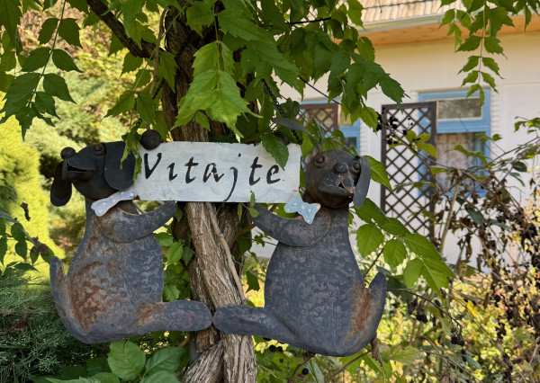 Predaj 3 izbový rodinný dom vhodný aj na chalupu, pozemok 10á