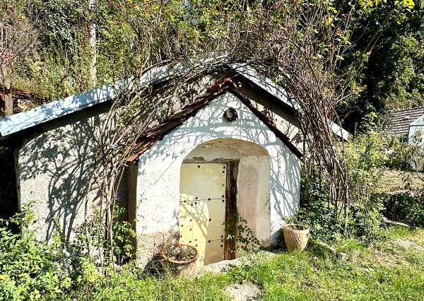 Predaj 3 izbový rodinný dom vhodný aj na chalupu, pozemok 10á