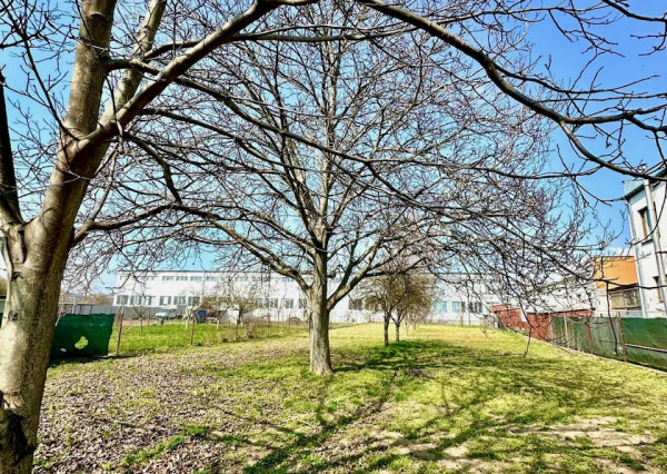 Predaj 3 izbový rodinný dom, 20á pozemok, Zbehy