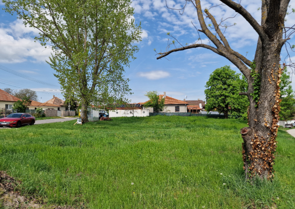 Predaj pozemok 9,8á Pohranice
