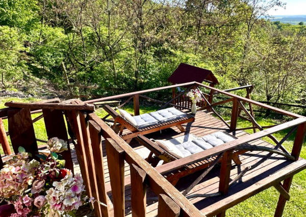 Predaj rekreačná chata Jedľové Kostoľany, pozemok 9,8á