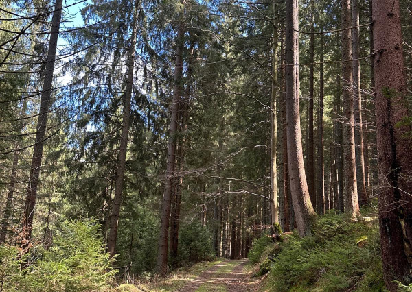 Predaj 2izbový apartmán Donovaly, balkón, parkovacie státie