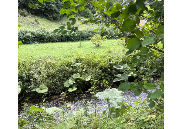 Predaj pozemok 40á, usadlosť pod Donovalmi so starým RD