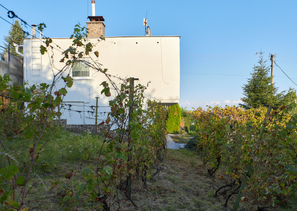 Predaj rodinný dom Zobor, 9,6á pozemok REZERVOVANÉ!