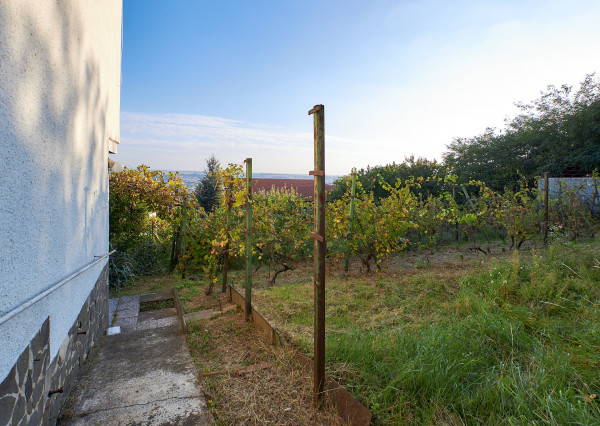 Predaj rodinný dom Zobor, 9,6á pozemok REZERVOVANÉ!