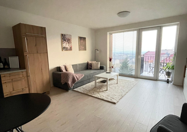 Prenájom pekný, slnečný 1izbový byt, balkón, novostavba Jelenecká