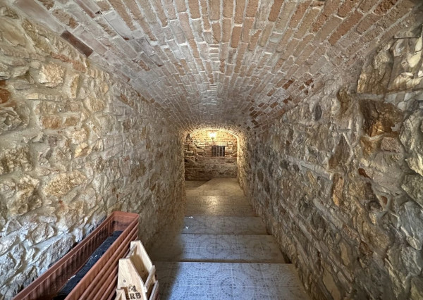 Prenájom unikátna hradná pivnica + nádvorie