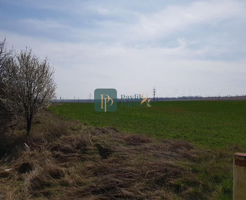 Predaj investičný pozemok Nitra, 5544 m2