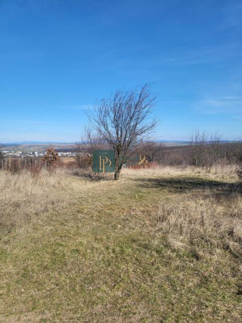 Predaj rekreačný pozemok, Dolné Krškany - Bita