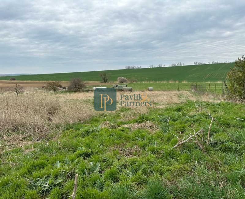 Predaj 33á pozemok, Šurianky - Perkovce