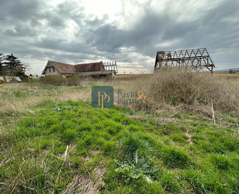 Predaj 33á pozemok, Šurianky - Perkovce