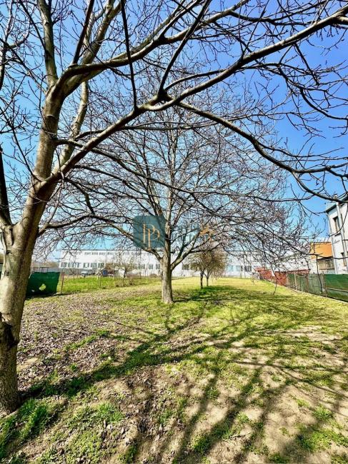 Predaj 3 izbový rodinný dom, 20á pozemok, Zbehy