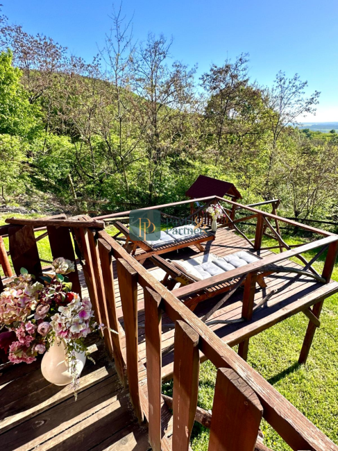 Predaj rekreačná chata Jedľové Kostoľany, pozemok 9,8á