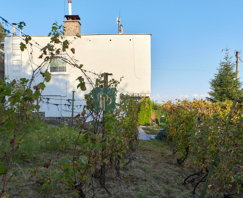 Predaj rodinný dom Zobor, 9,6á pozemok REZERVOVANÉ!