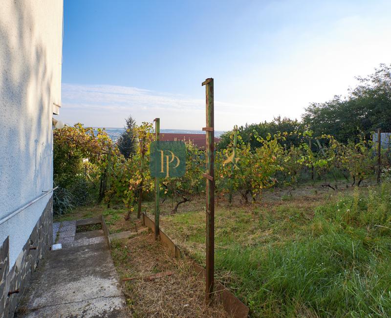 Predaj rodinný dom Zobor, 9,6á pozemok REZERVOVANÉ!