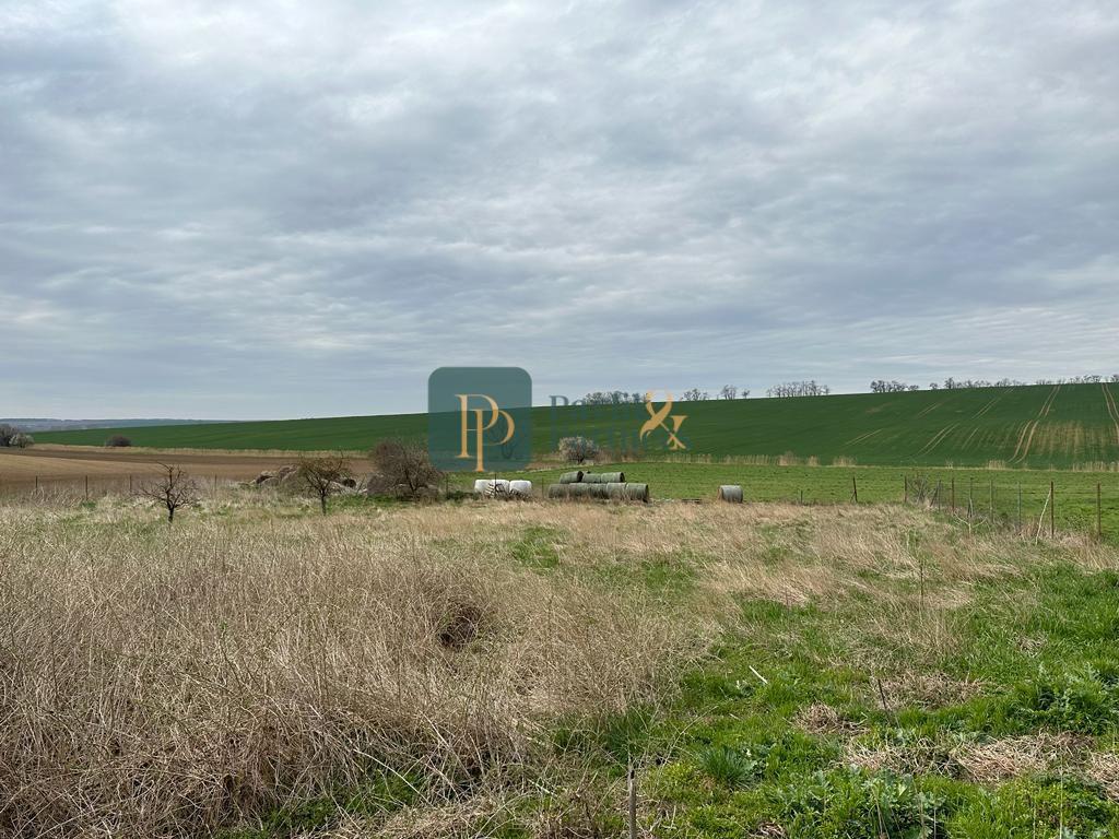 Predaj 33á pozemok, Šurianky - Perkovce